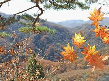 沭陽(yáng)東方公館最新動(dòng)態(tài)更新