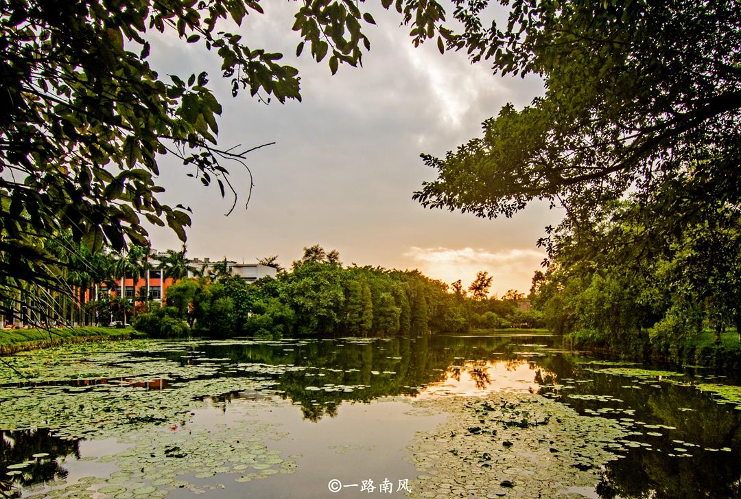 華南海域最新天氣報告，探索自然美景之旅，尋求內(nèi)心寧靜與平和的旅程
