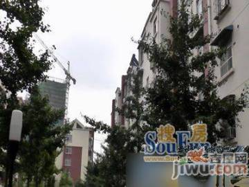 信宜玉龍山莊最新房價動態(tài)，機遇與自我超越的旅程